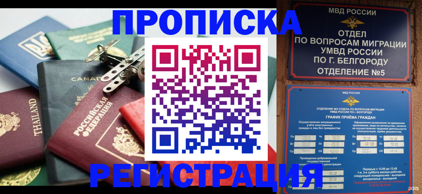 временная регистрация недорого в Архангельской области